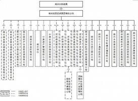 企业化运作  产业化发展